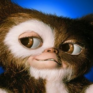 Meet your Posher, Johnny